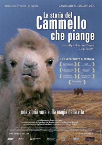 cammello