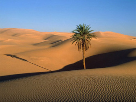 Deserto del Sahara