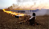 Una foto di Shirin Neshat